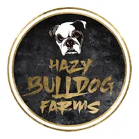 Hazy Bulldog